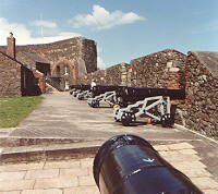 A Cannon in the Castle